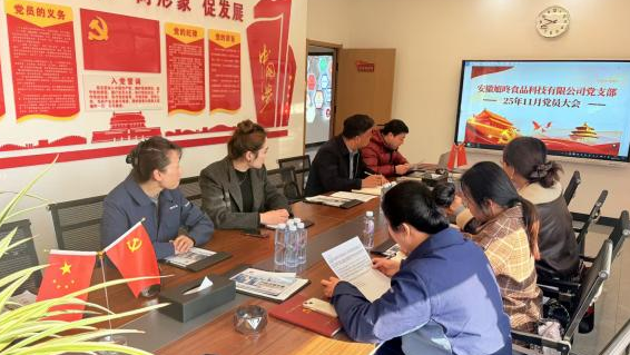 全面深化改革，推动高质量发展——安徽旭咚食品科技有限公司党支部开展主题党日活动